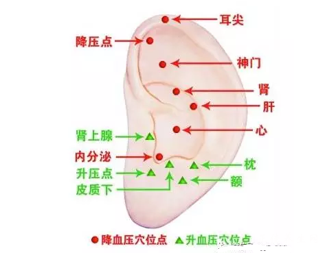 微信截图_20170401144445.png