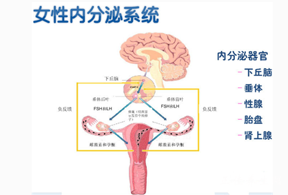 微信截图_20170324160516.png