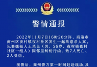 陕西7死2伤凶杀案 邻里因“樱桃树”起纷争凶手用斧子作案